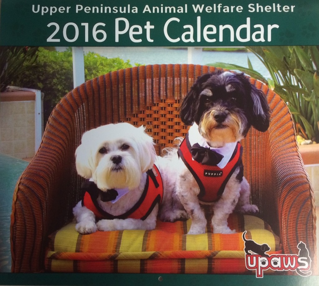 2016 Pet Calendar